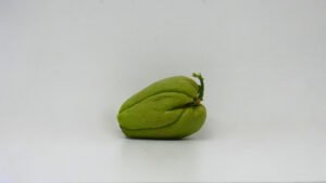 SQUASH CHAYOTE  1 CT