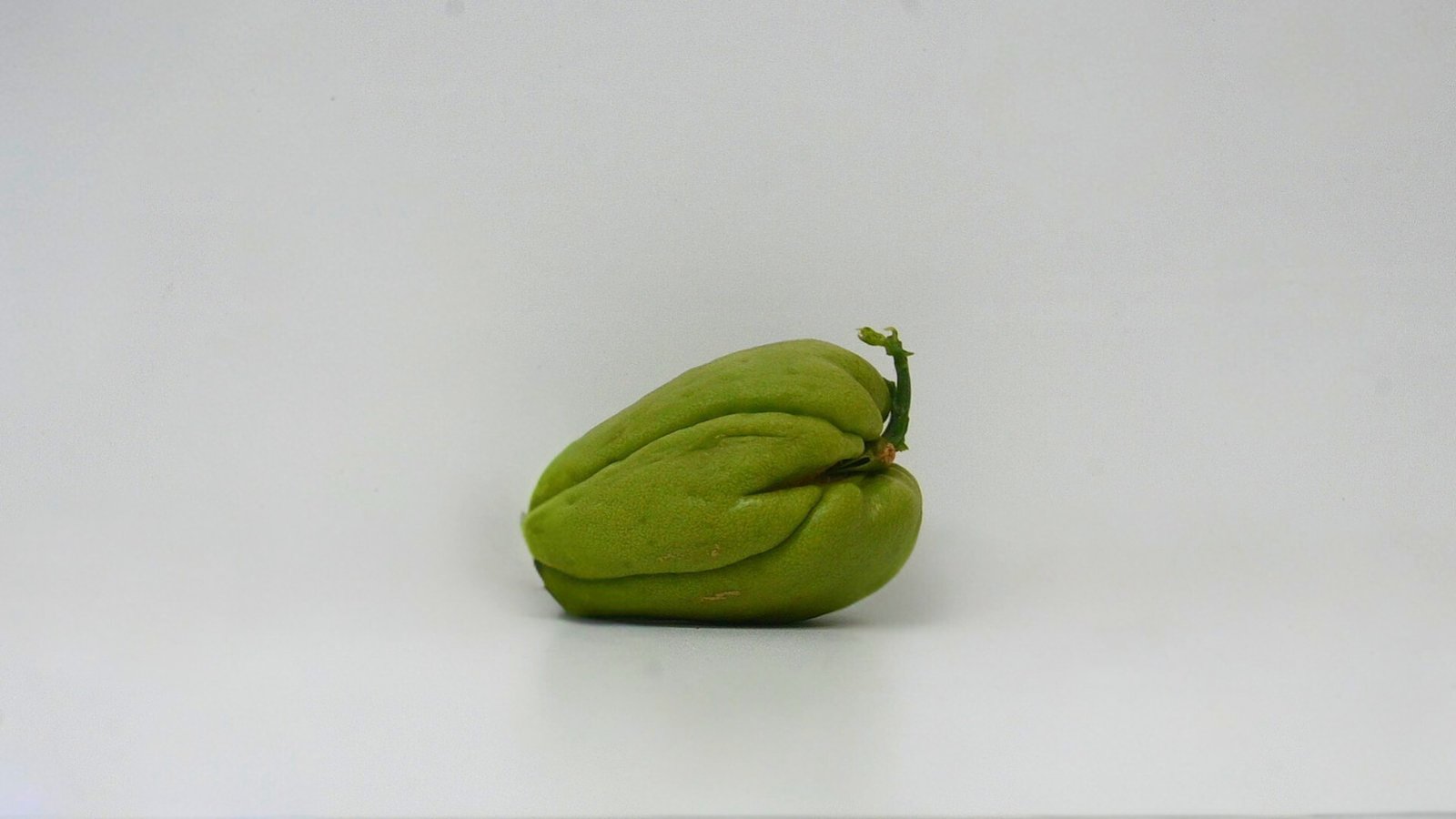 SQUASH CHAYOTE  1 CT