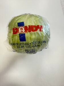 DANDY LETTUCE