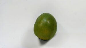 MANGO TOMMY  1LB