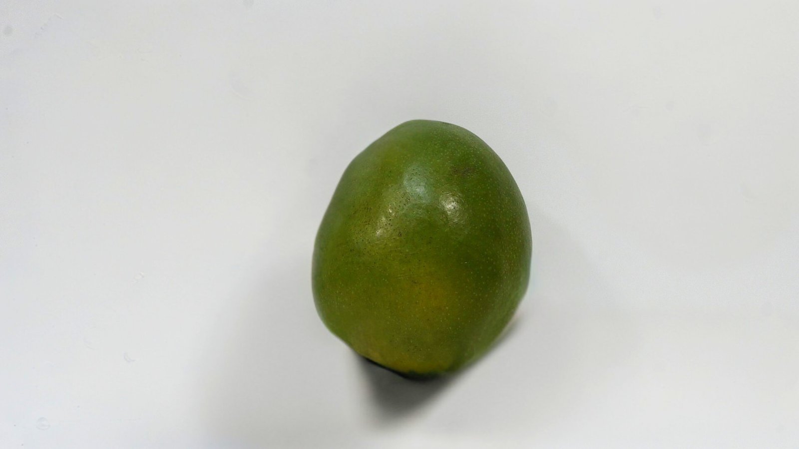 MANGO TOMMY  1LB