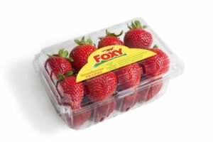 STRAWBERRY FOX